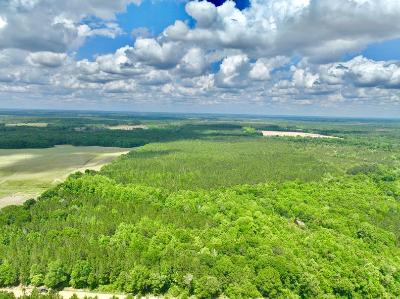 dji_fly_20230426_150502_312_1682536391064_photo