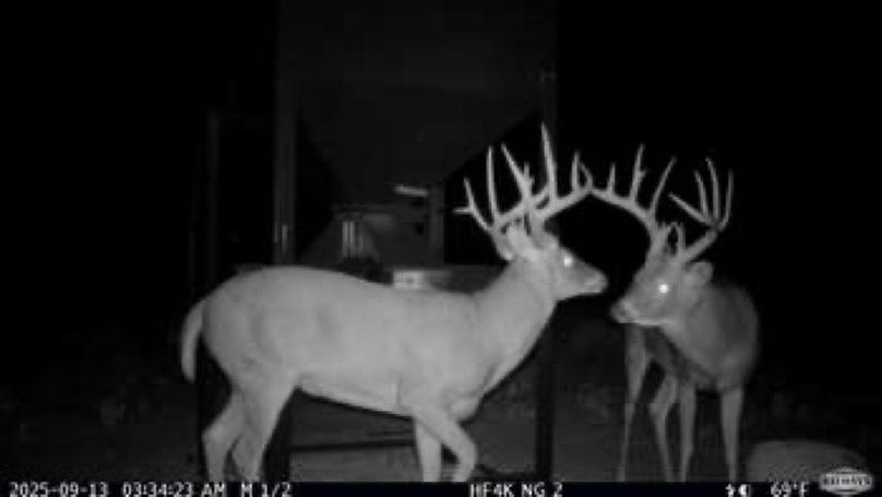 514adfd344edf788da3f618b590fedff-small