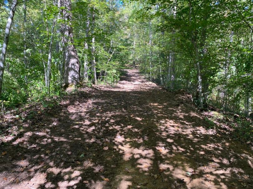 012 the cleared trail leading to the east up the hill along the middle point