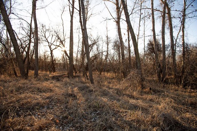 ATCHISON CO MO 56_10