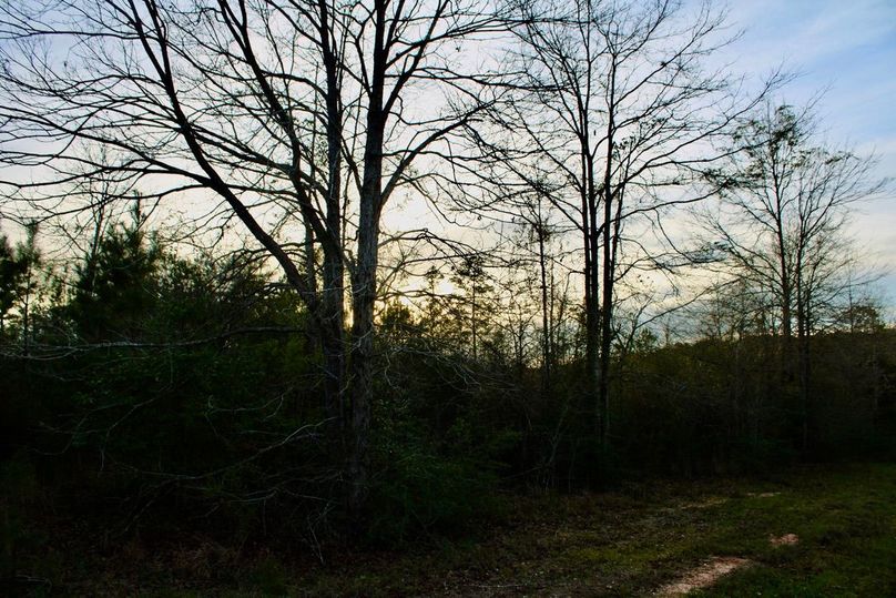 736F9C7A-D557-4032-8CD5-5D58C0AA8AE7_1_105_c