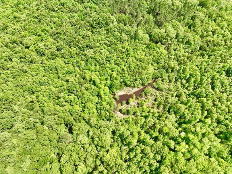 dji_fly_20230426_150718_318_1682536357521_photo