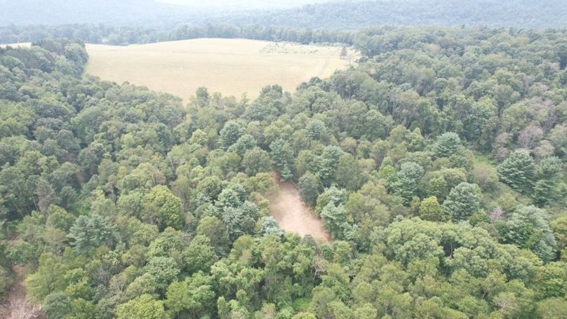 dji_fly_20250806_140950_599_1754530449575_photo