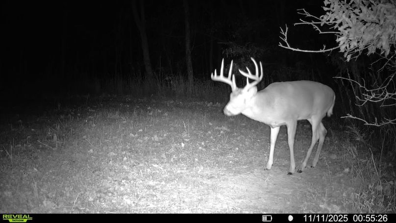 016579007489151-47-4-11112025005526-V-SYFW02971