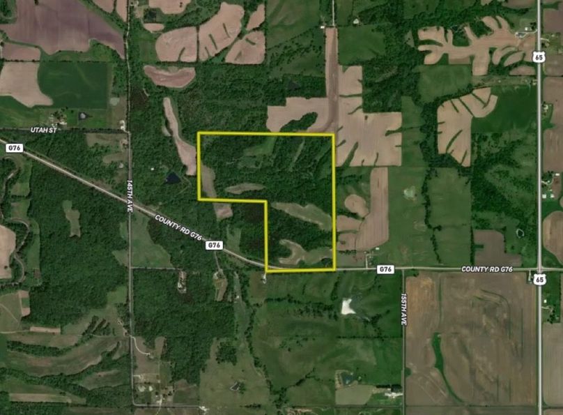 Screenshot 2026-02-19 at 7.06.30 PM