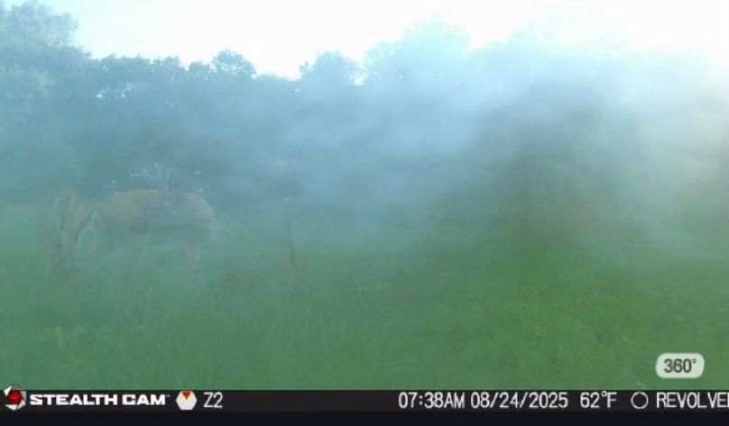 New Deer Trailcams (4)