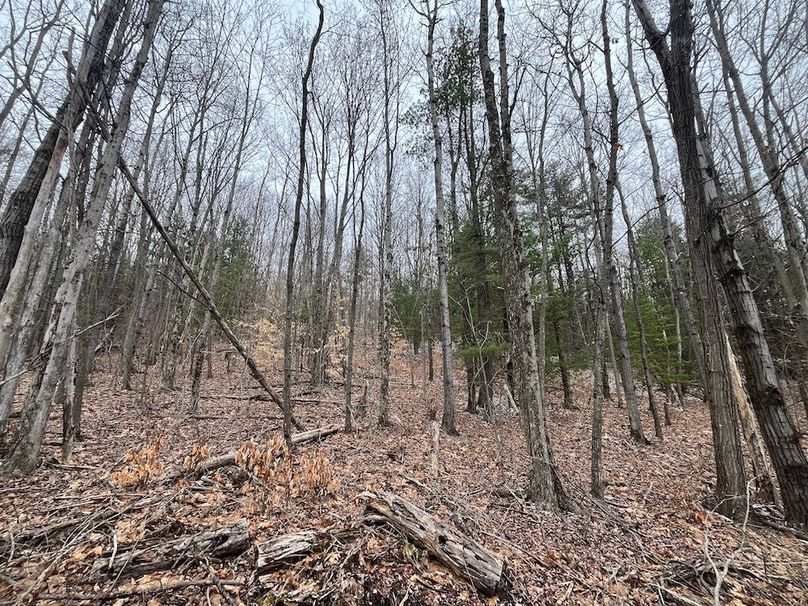 Chemung_17.45_Delsey Photo 17