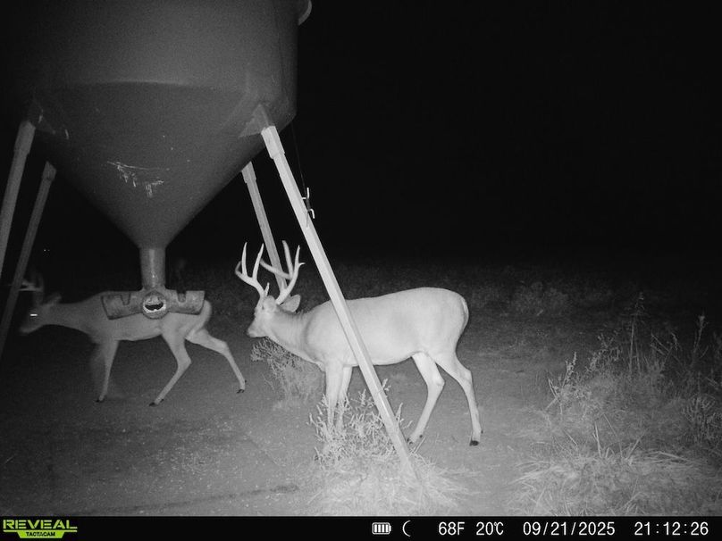 860516064952926-100-3-09222025172814-HD-SYFW0398