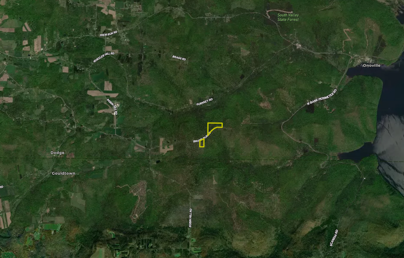 1 Screenshot 2024-02-20 at 12.43.14 PM