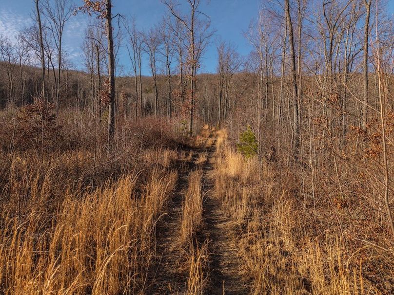 DJI_20260216160811_0031_D