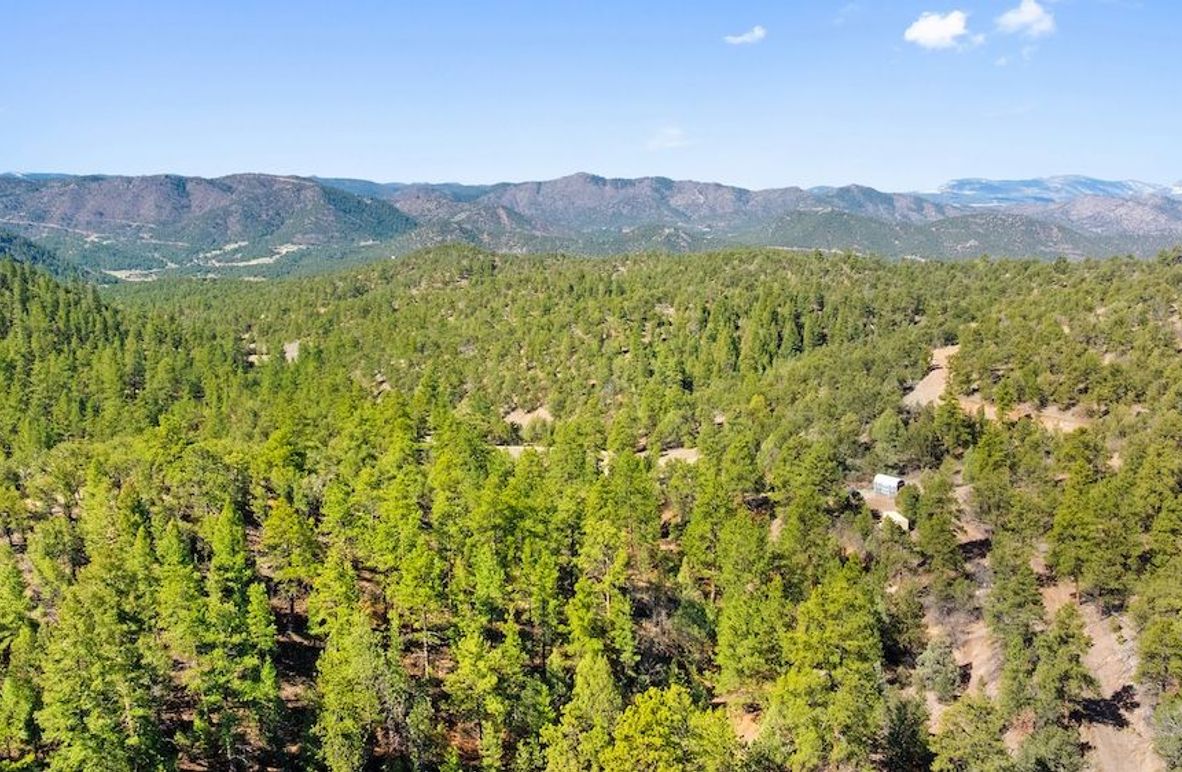 DJI_20250510110610_0511_D