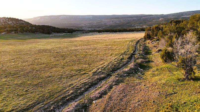 DJI_20250409193800_0112_D