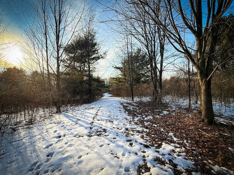 Seneca_43_Hohwald_Photos_27