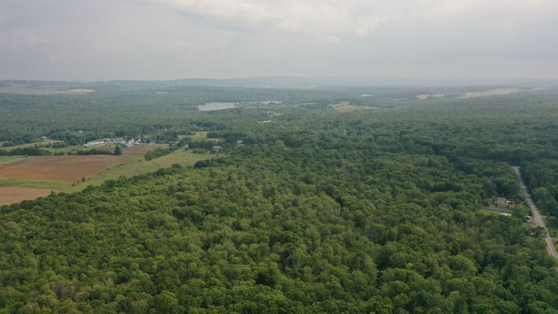 DJI_0876