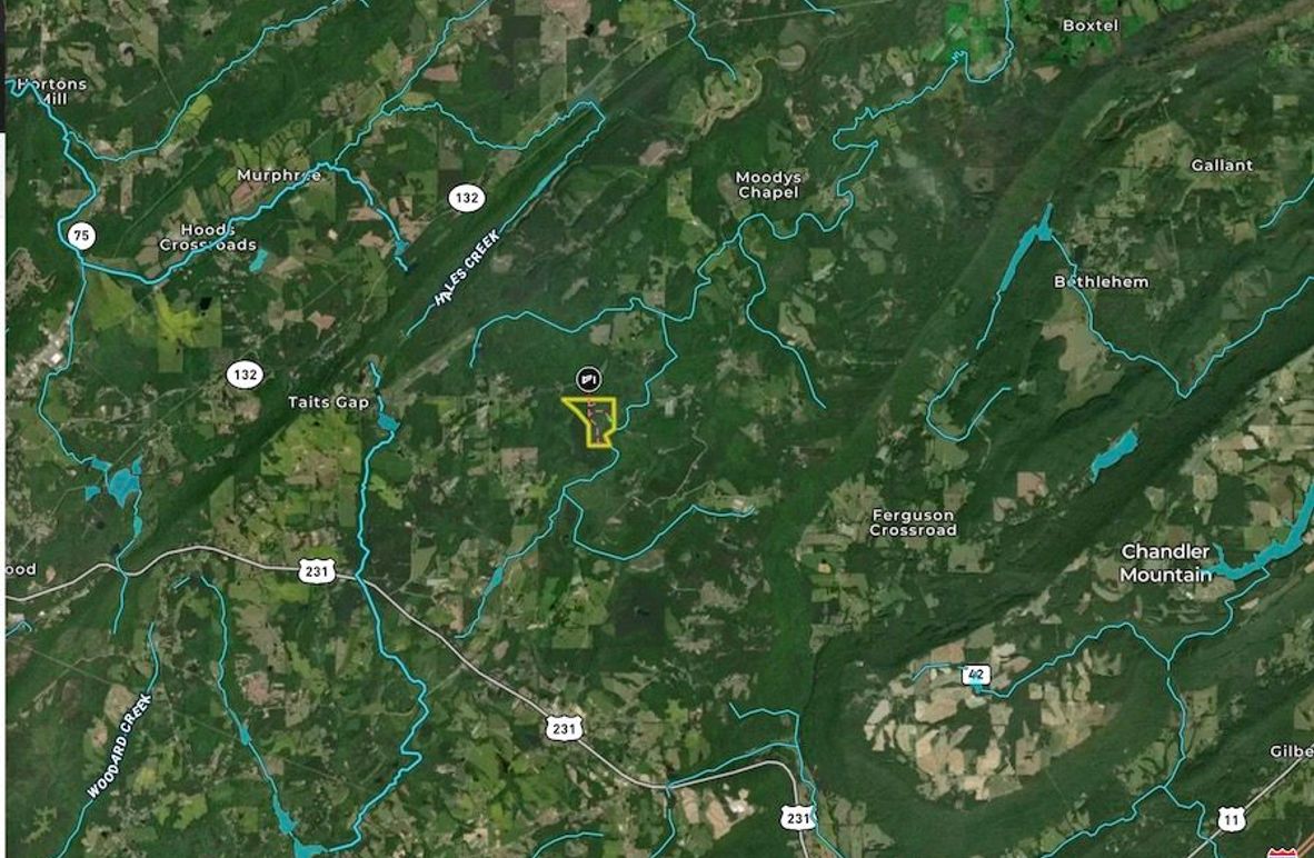 Screenshot 2024-10-15 at 9.32.23 AM