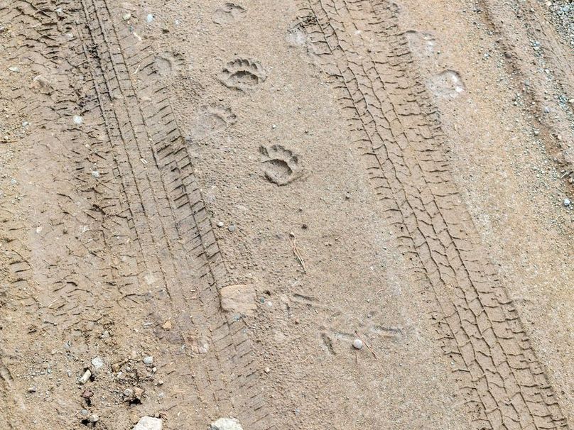 DJI_20250924104314_0098_D