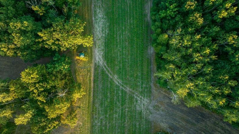 Cass MN 1095 Featured ProPhoto-101