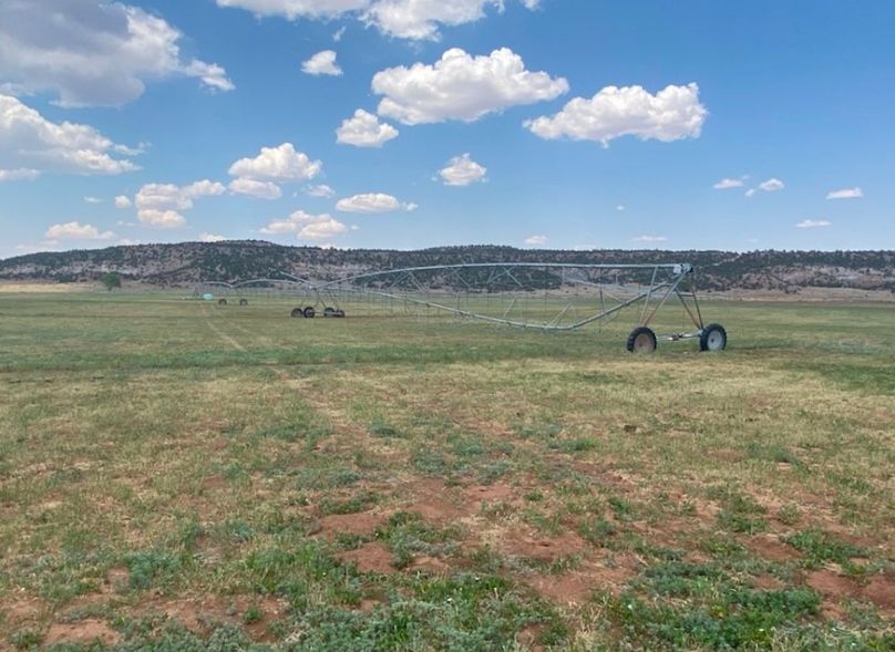 9.1_Pratt Hay field green