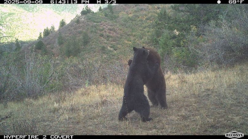 BC4D4948-EB9F-4C74-9042-829CFDE7BDA1