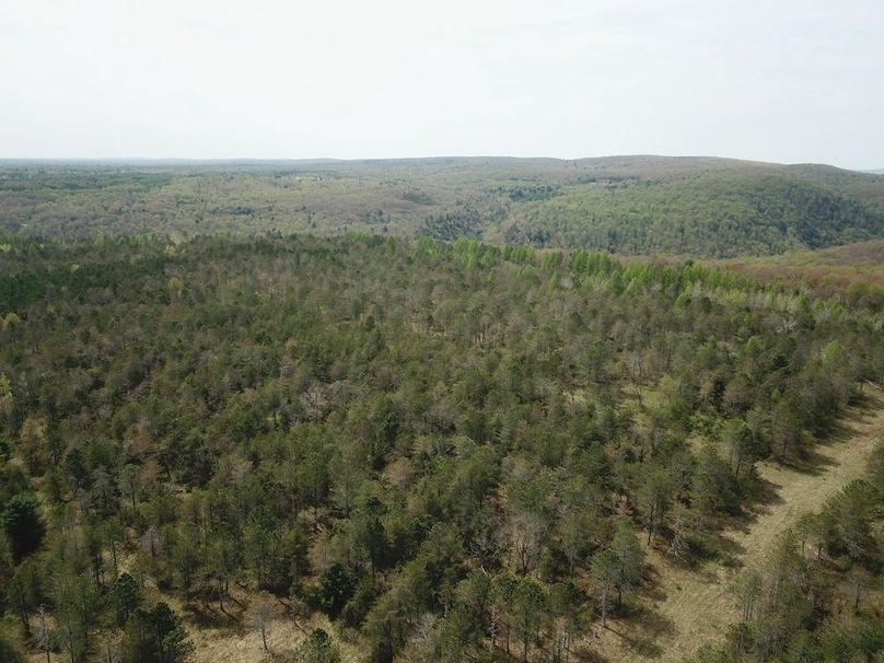 DJI_0006