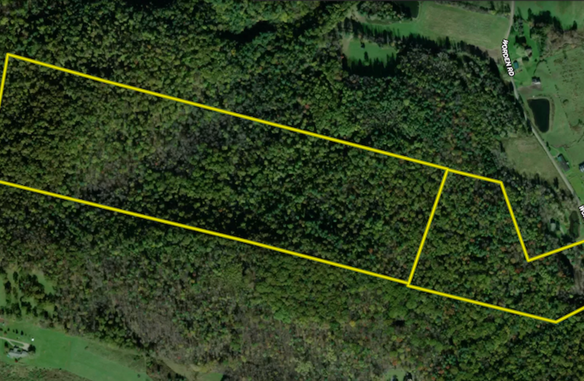 Tioga NY 86.705 Capwell Landid_3