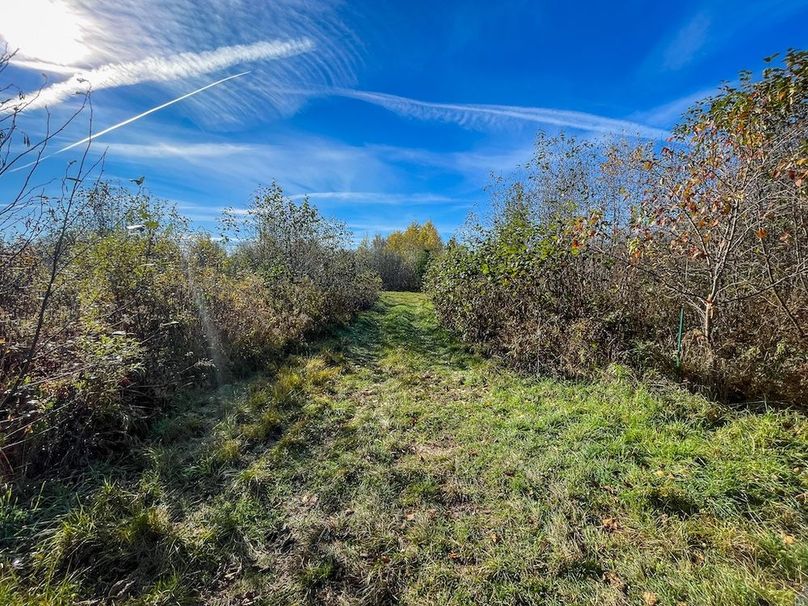 Clark 24.75 Winkel -16