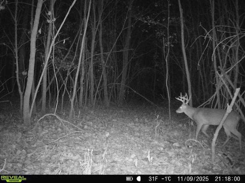 860516067504427-10-4-11092025211800-V-W1002639