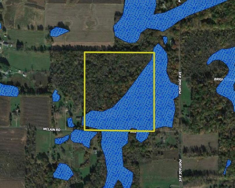 Screenshot 2024-06-11 at 11.05.31 AM copy