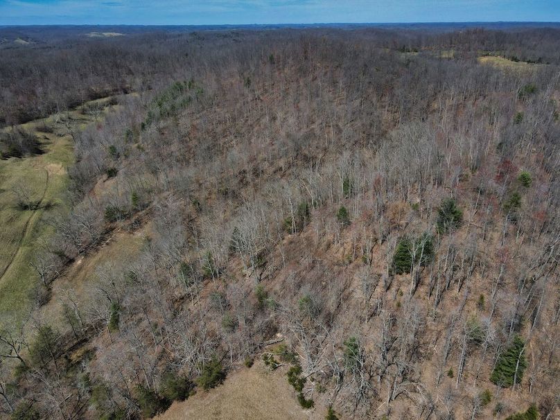 015 nice overview of the hardwoods looking up the valley