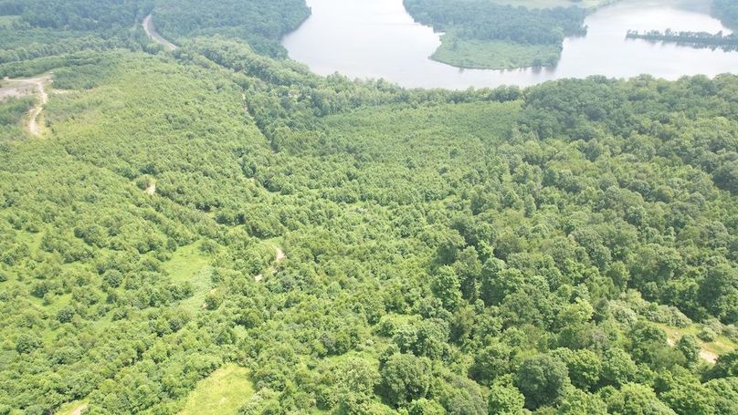 dji_fly_20240621_115446_316_1718985428220_photo