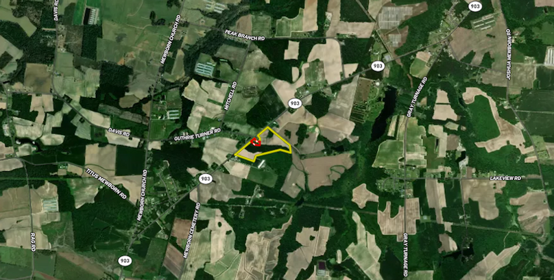 Screenshot 2026-02-18 081801