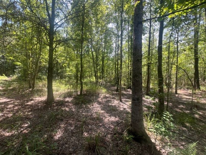 85669F17-47FC-4600-A685-F64094458BAD_1_105_c