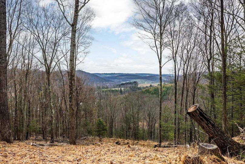 10-web-or-mls-IMG-10