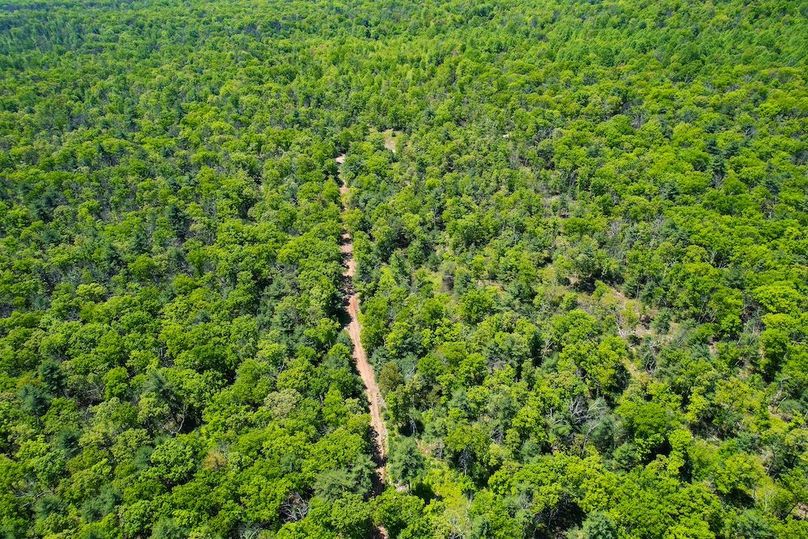 dji_fly_20250512_130852_985_1747069816839_photo