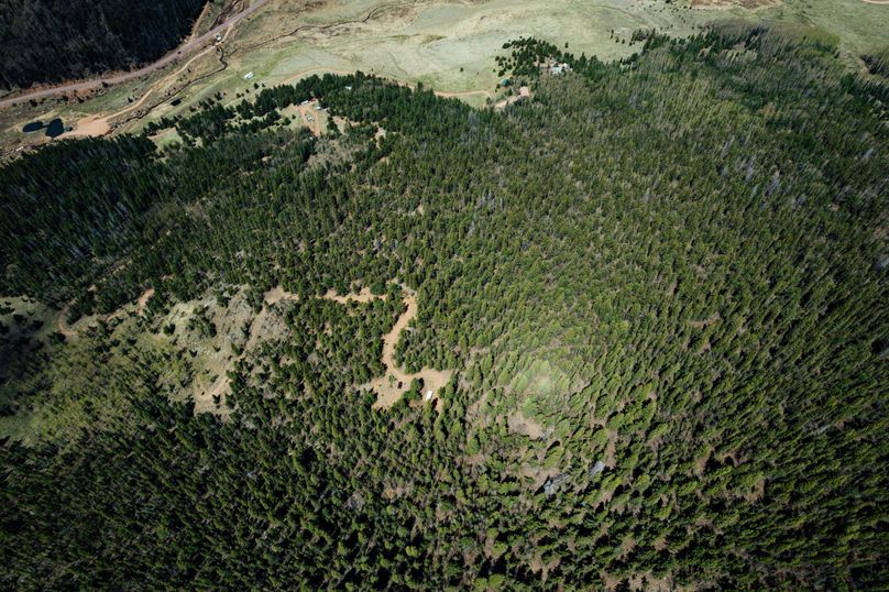 Teller 11.75 - 0002.1 overhead