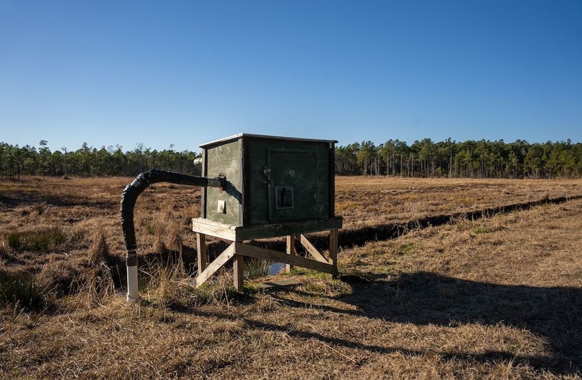 Carteret NC 7,500 Featured Pro Photo-4