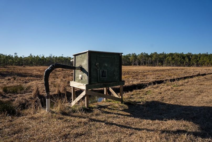 Carteret NC 7,500 Featured Pro Photo-4