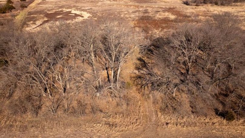 Neosho Duck Property-08