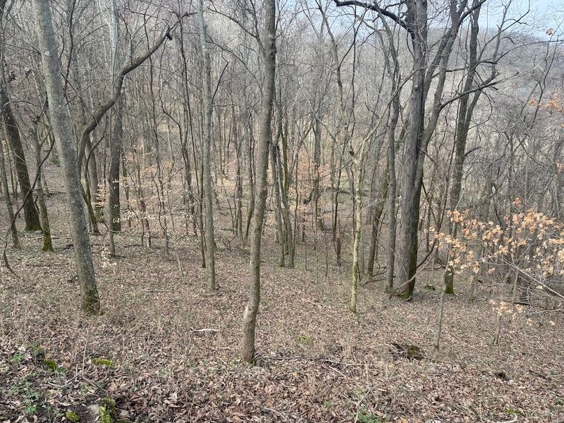 Maury Co TN 102 Bowers Pic 3