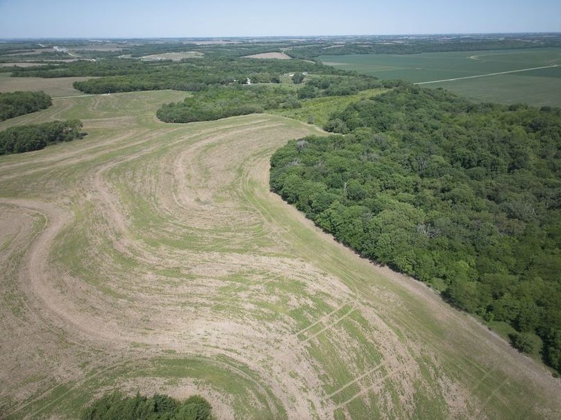 DJI_20250531111646_0027_D