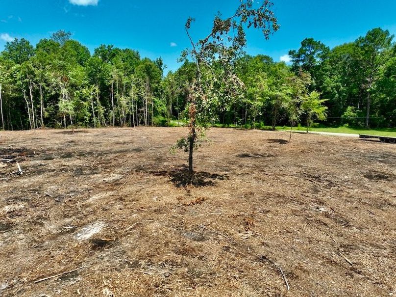 2BCBBE81-8C14-4BFD-8FBD-0CD9EA504FF4_1_105_c