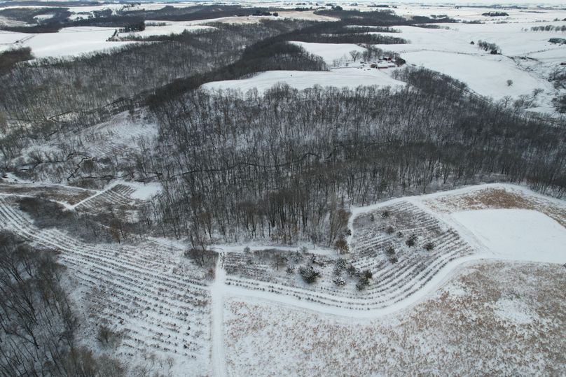 DJI_0764