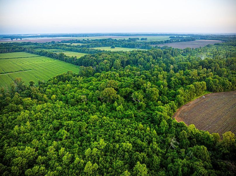 Copy of Noxubee 70 +- Tract 3-14