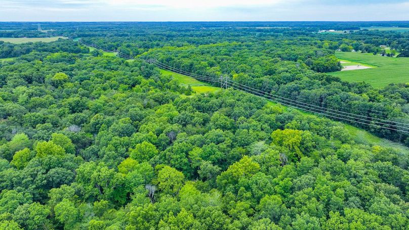 DJI_20240821110831_0014_D