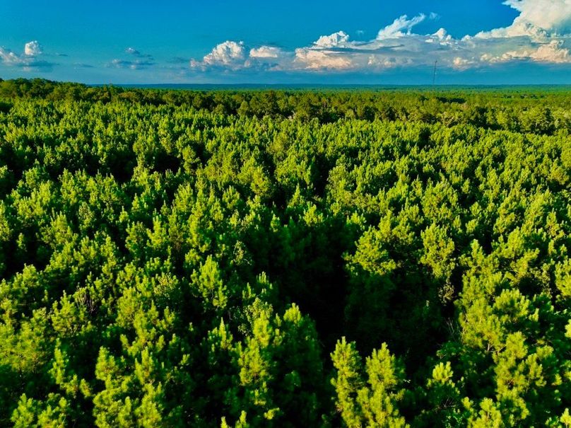 CF4F27B8-775D-4B9B-9306-301497C5217F_1_105_c-2