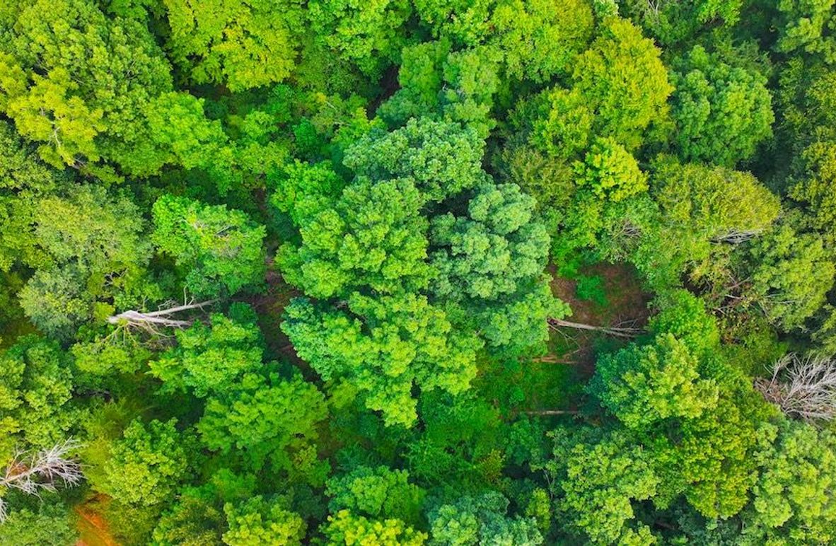 dji_fly_20250814_150126_0097_1755198684018_photo