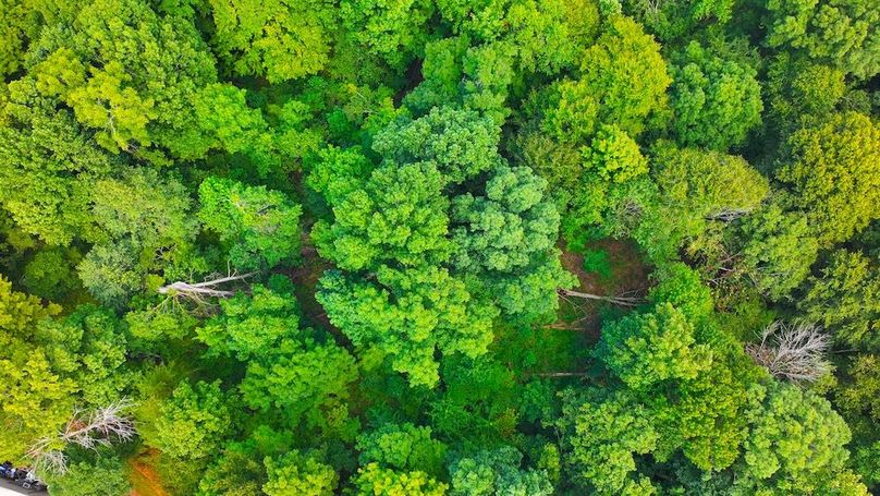 dji_fly_20250814_150126_0097_1755198684018_photo