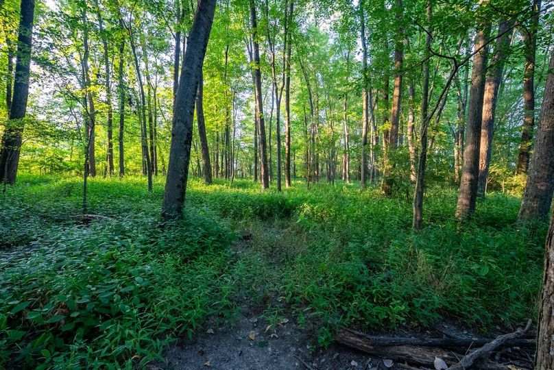 Copy of DSC06243 Large