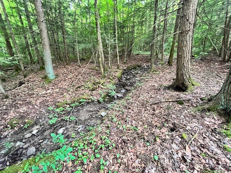 Chemung_78.26+Gutchess_Lumber_Photos_14