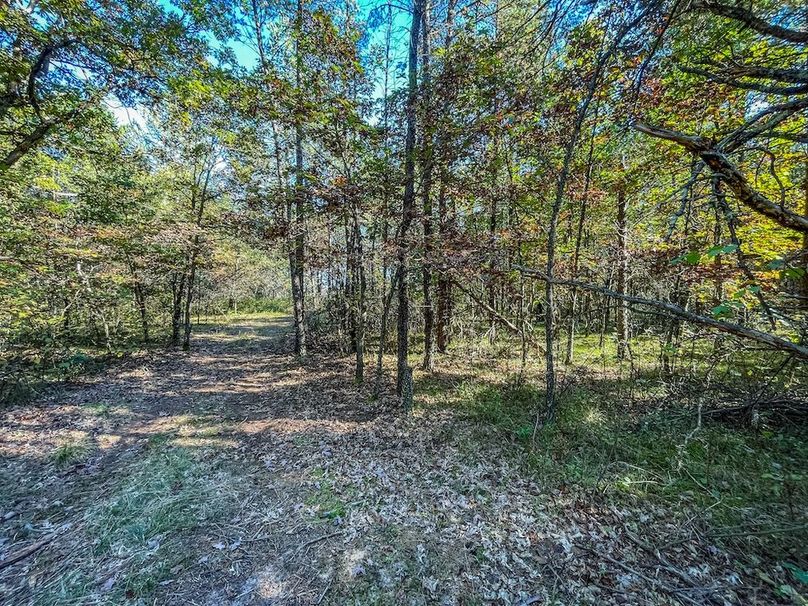 Juneau 27 Wiesner -083